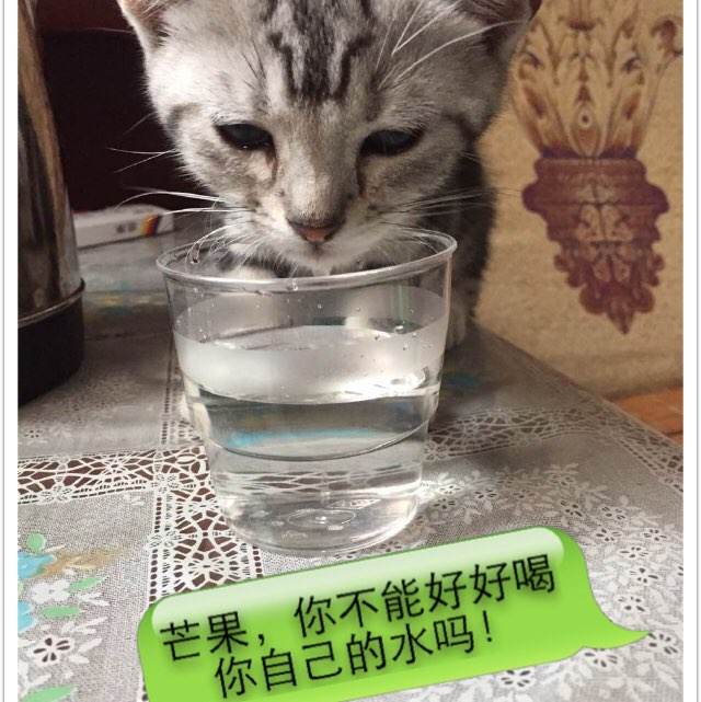京都芸術大学建筑学文凭证书